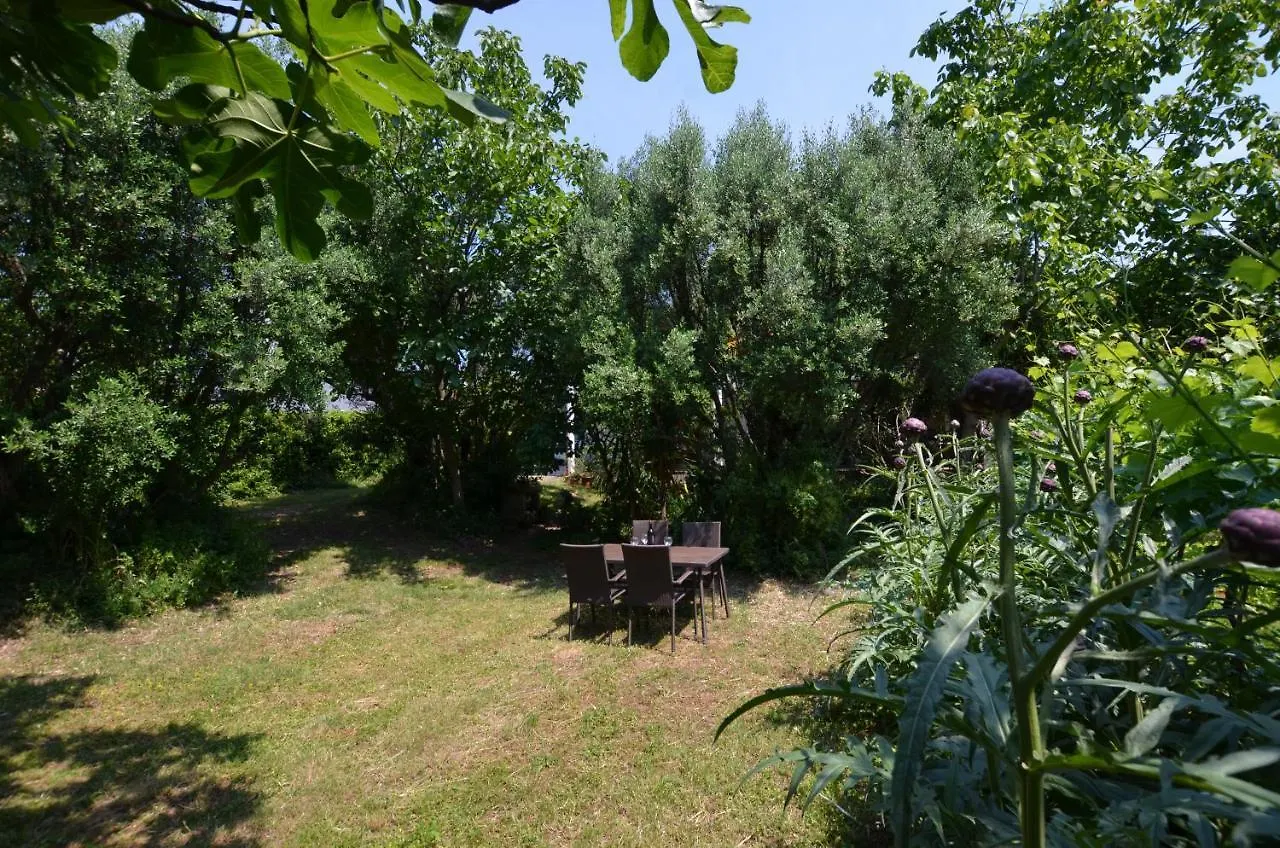 Apartments Oleander Ровинь Гостевой дом